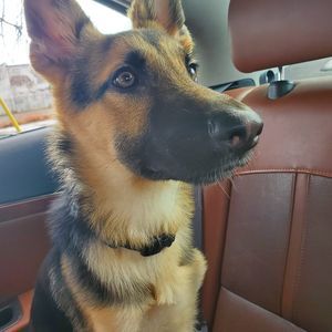 Meet your Posher, Rigo